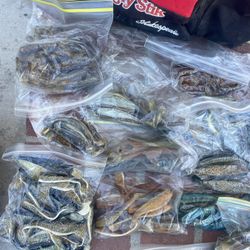 Vintage Plastic Swimbaits Big Hammer Scampi Jigs Fishing 