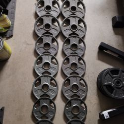 New Olympic Weight Plates (6x10Lbs,6x5Lbs,4x2.5Lbs) for $100 Firm (Walnut 91789)
