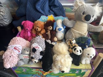 Stuffed Animals