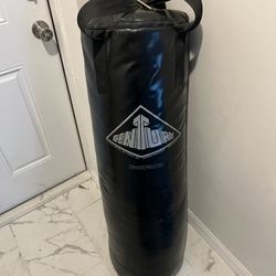 Heavy boxing bag/Fitness bag