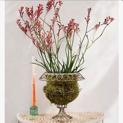 French Wire Urn Planters Rustic Yard Risers Pots