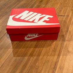 Nike Pandas 