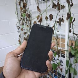 Iphone 12/13 Screen Replacement 