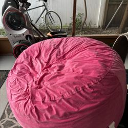 LARGE PINK BEAN BAG RARELY USED