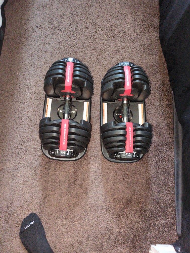 Bowflex 552 Adjustable dumbbells