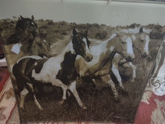 Print on Glass"Morning Run" 14×14  (Horses-Print)
