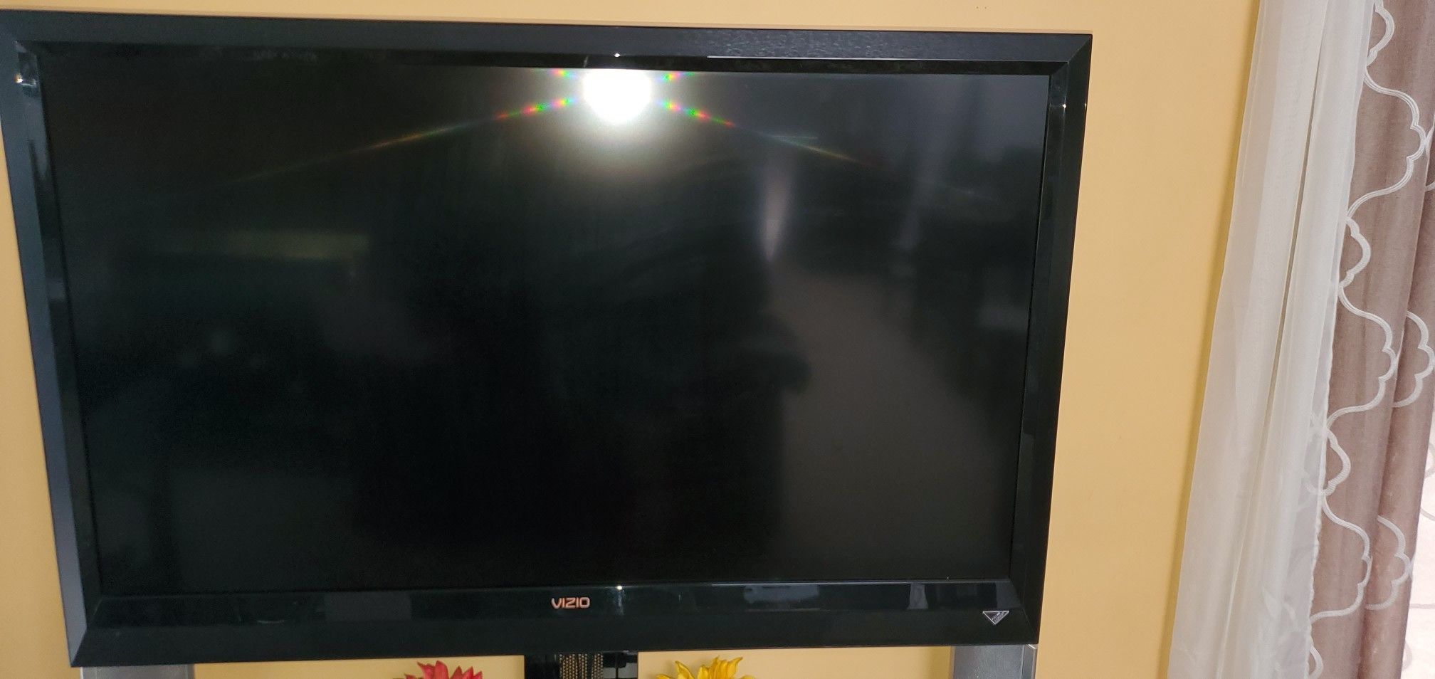 48" Vizio Flat Screen TV