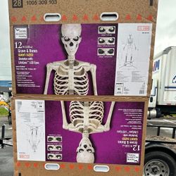 Home Accents Giant Skeleton 12ft - Brand New