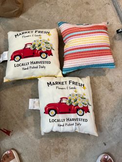 Outdoor pillows