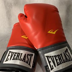Pro Style Training Gloves 12 Ounces Everlast