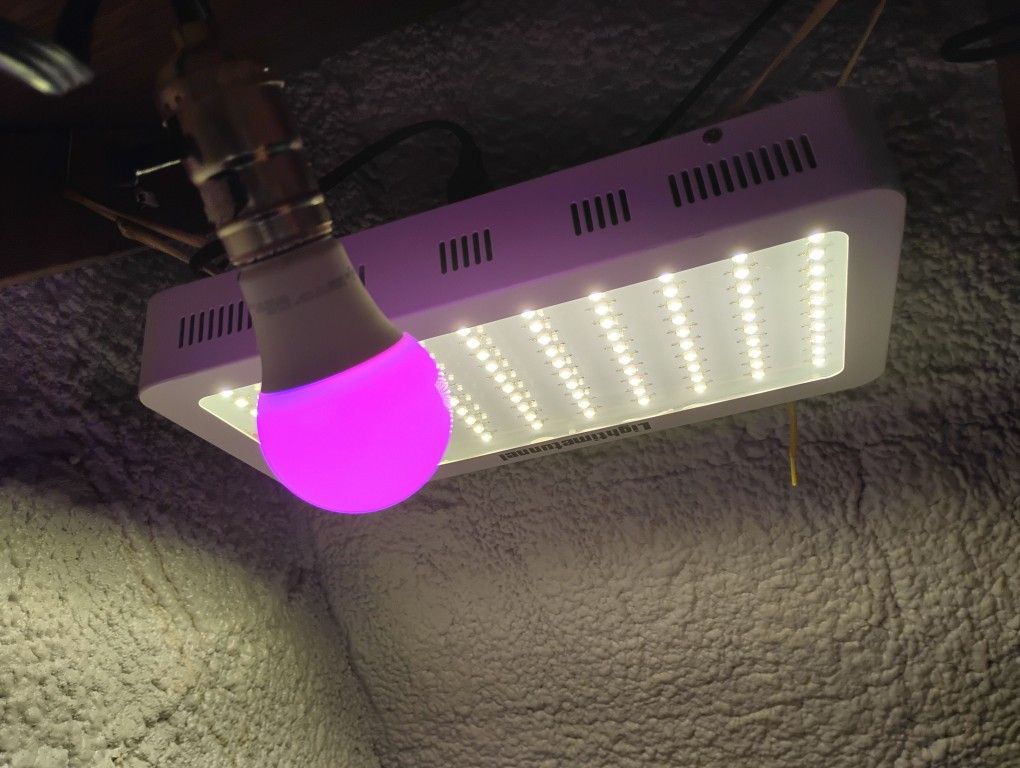 Full Spectrum Thick LED