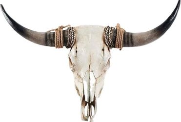 Ysjndasm Cow Skull Wall Decor, Longhorn Skull Bull Head, Large 31 x 24 x 7 inch Faux Taxidermy Head Long Horns Wall Decor Cow Skulls Wall Hanging, Bul