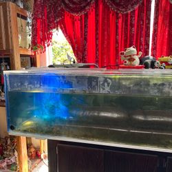 Acrylic aquarium 200gals