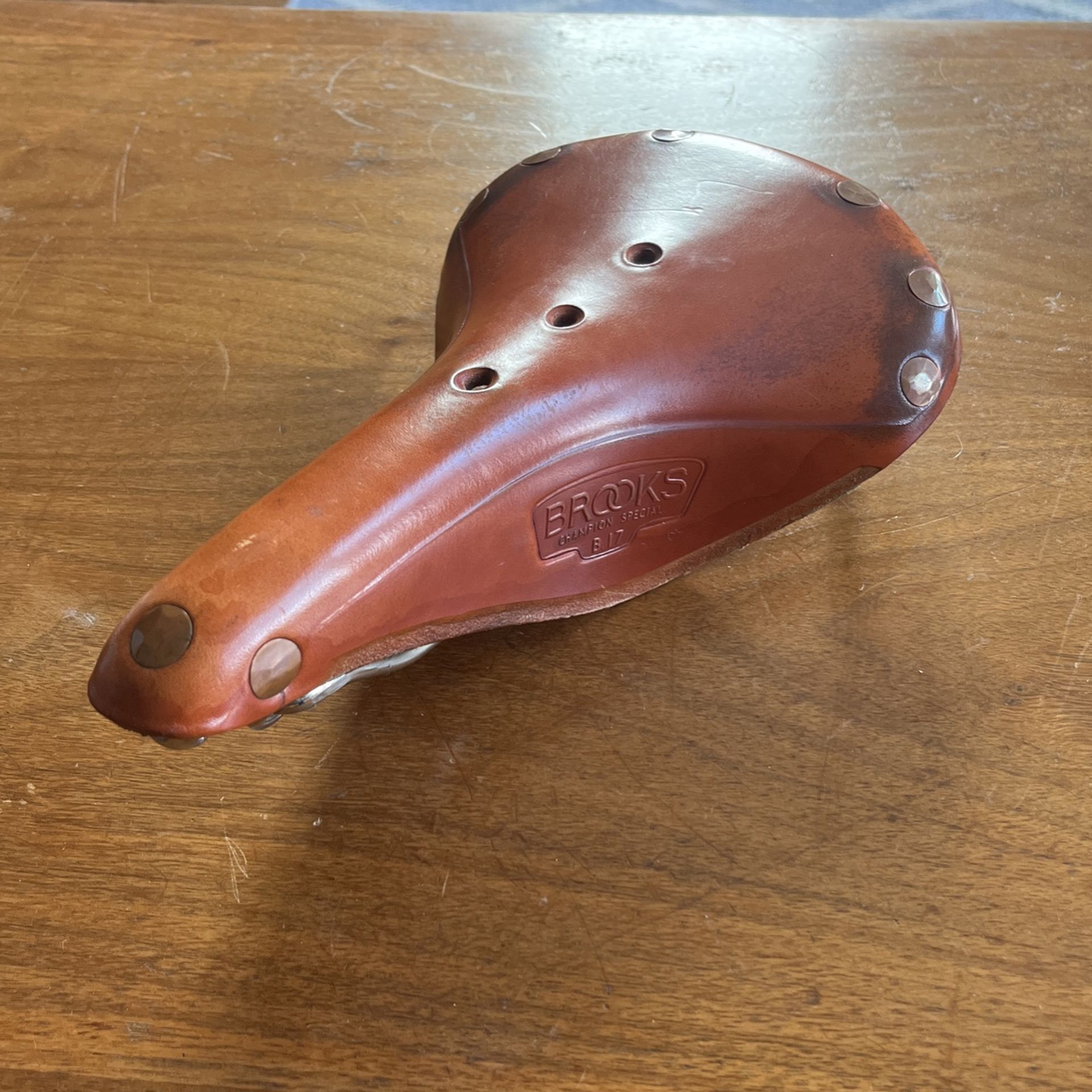 Brooks B17 Champion special