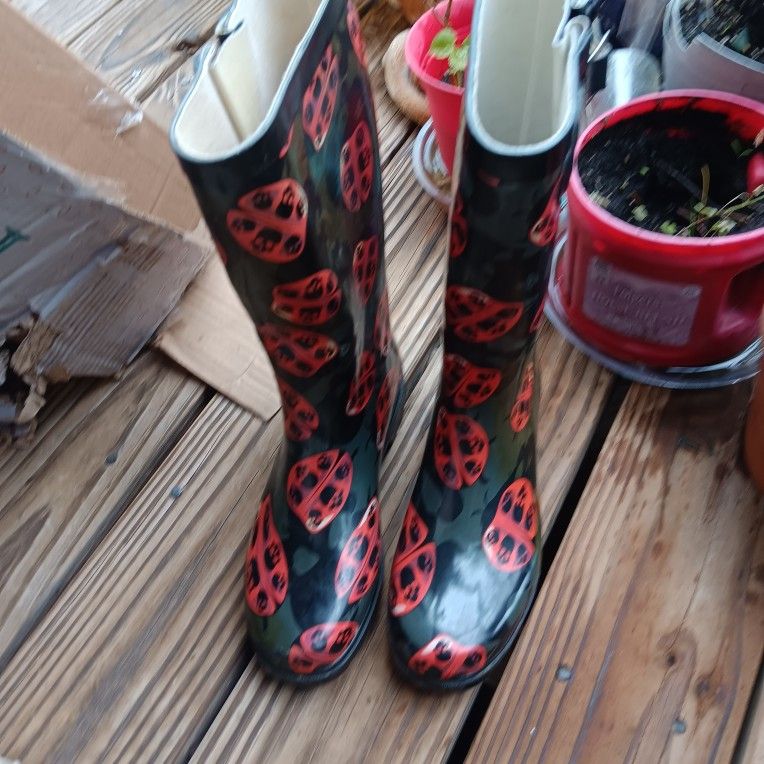 Women's rain boots size 8