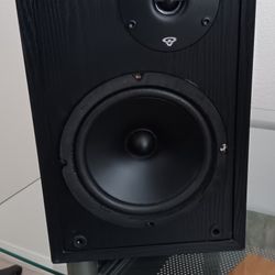 Speaker 
