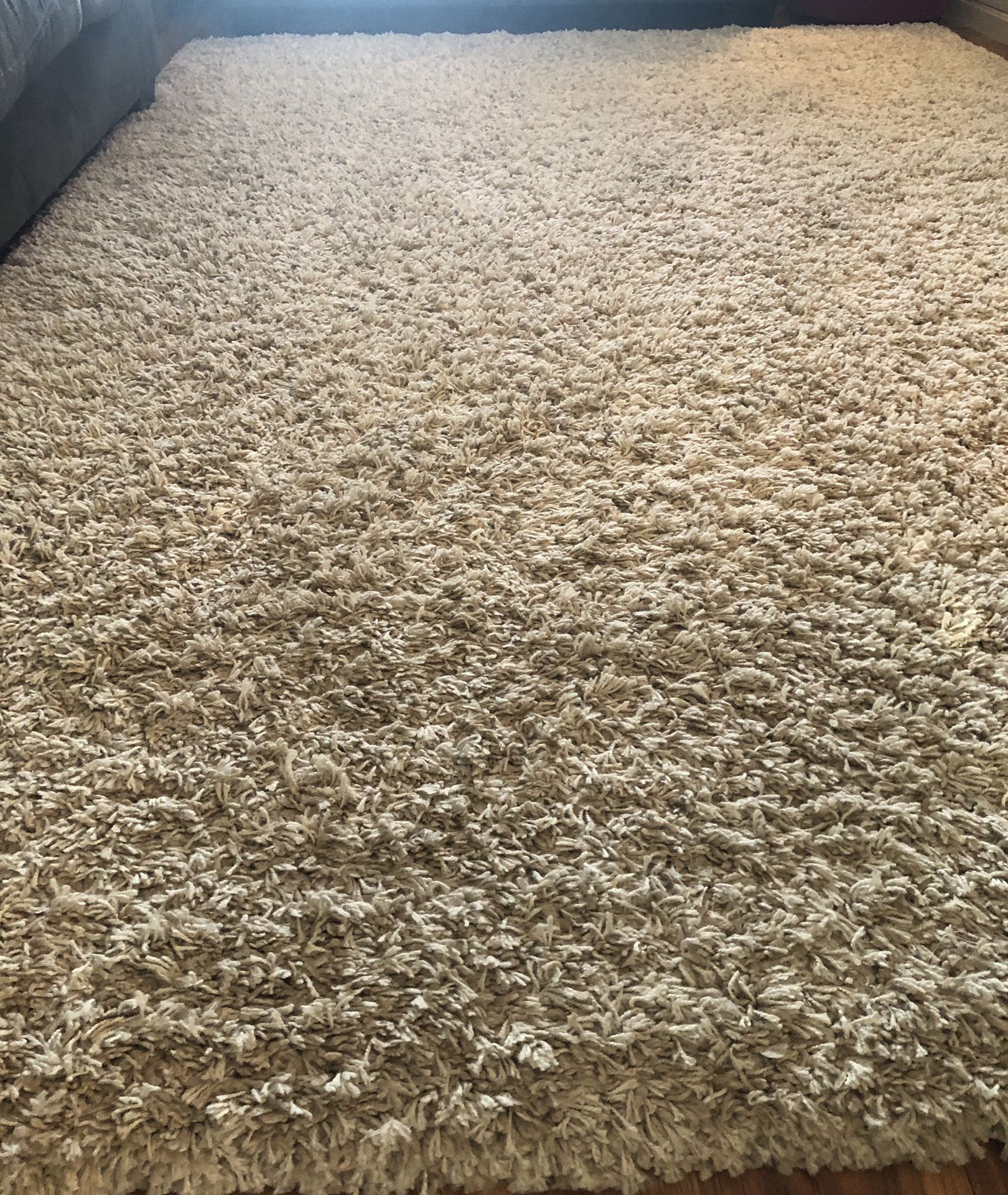 Gently used area rug (PENDING 5/30)