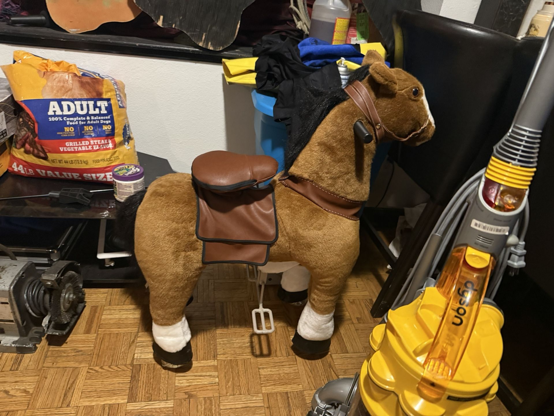 Kids Horse To Ride