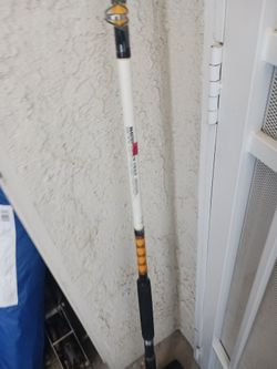 Master Custom Striker Fishing Rod