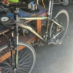Schwinn Bicycle