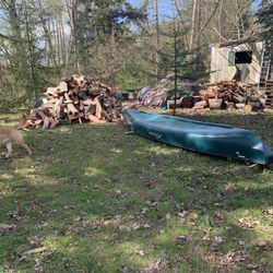 Canoe