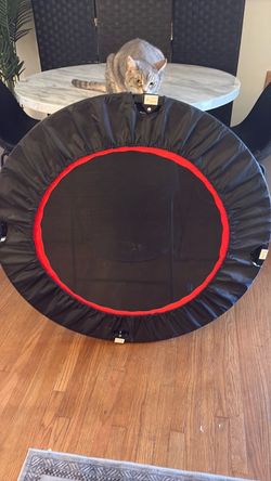 Mini Trampoline
