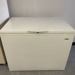 Large Deep Freezer 