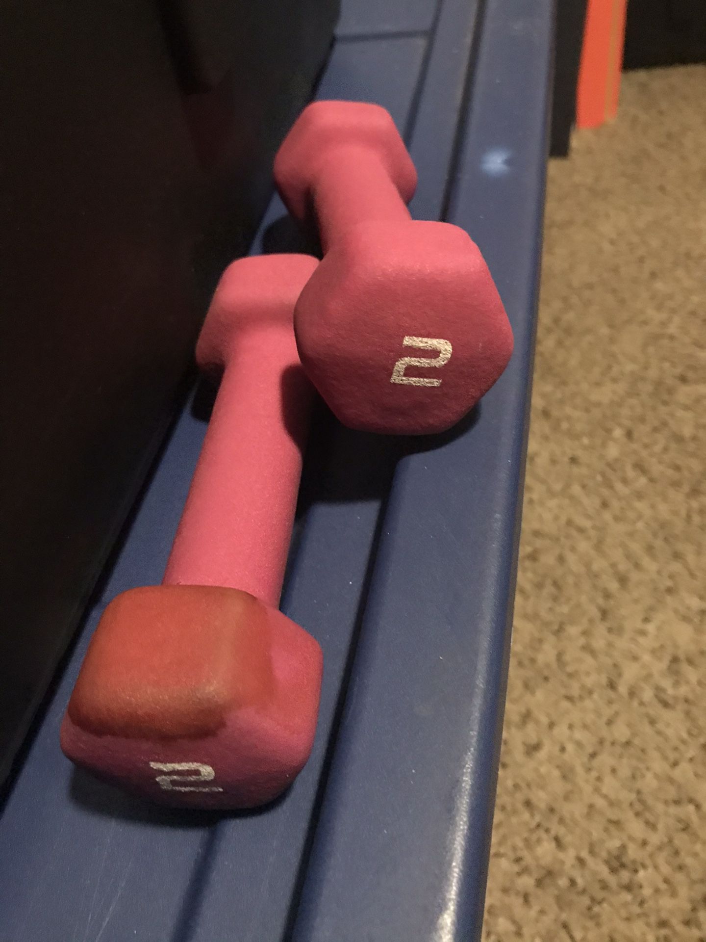 Two 2-LBS Weights