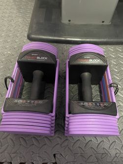 POWERBLOCK SPORT 24 — PURPLE — PAIR $150 OBO