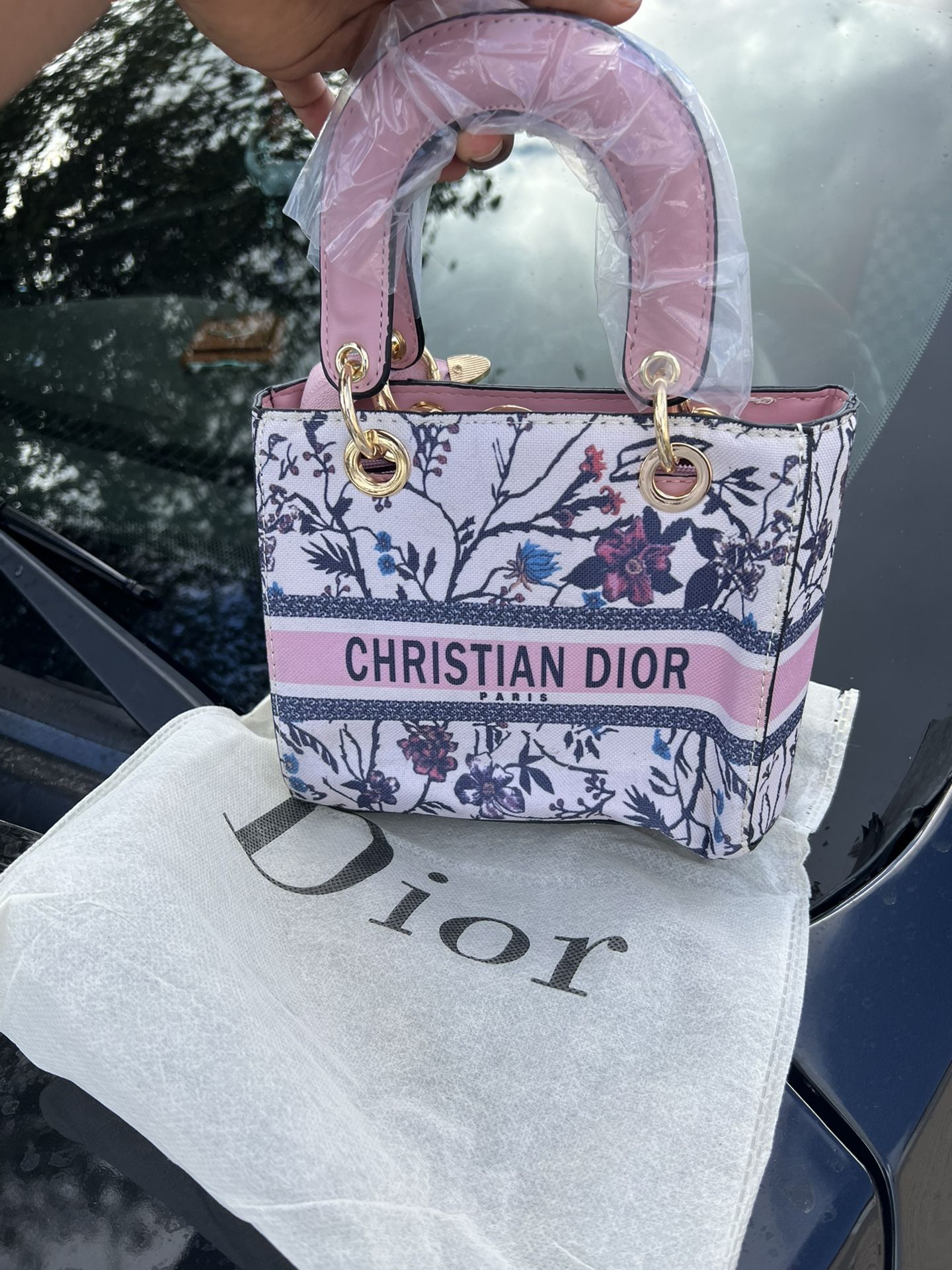 Small Dior Handbag 
