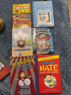 Summer Reading - Diary of a Wimpy Kid Big Nate & more