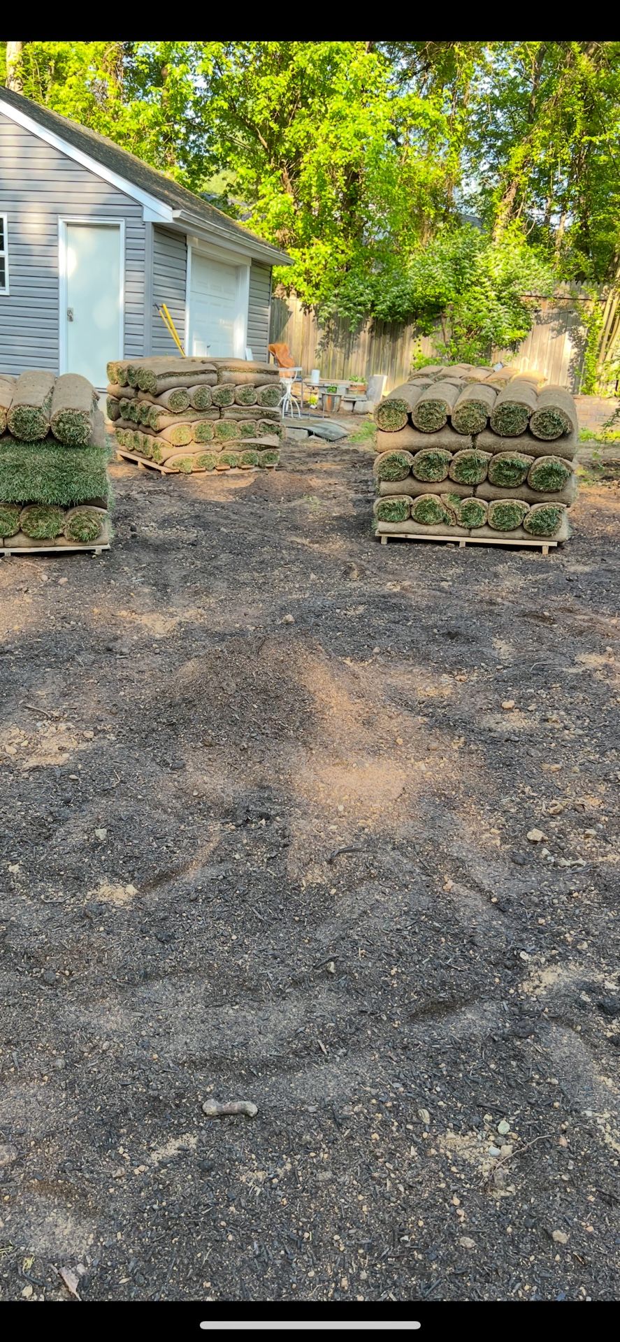 fresh sod