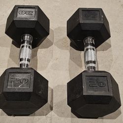 20 lb Rubber Hex Dumbbell Pair