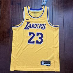 Los Angeles Lakers LeBron James 