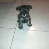 Diego Torres