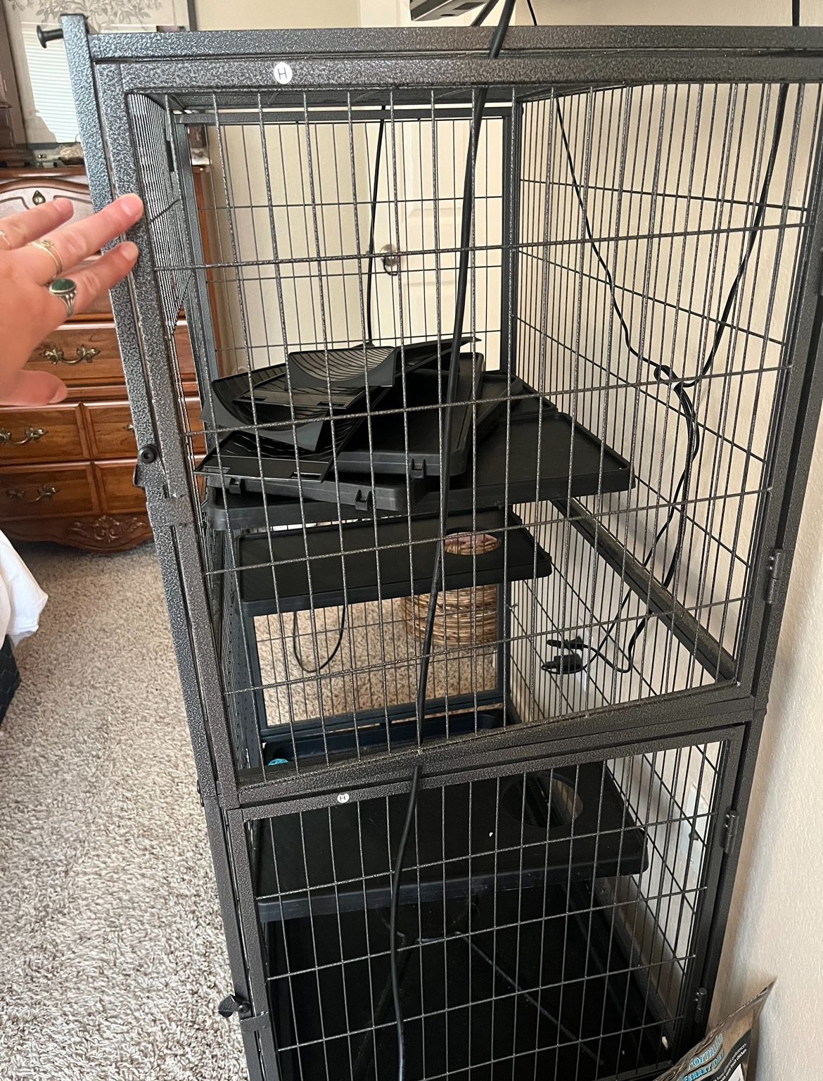 Cage