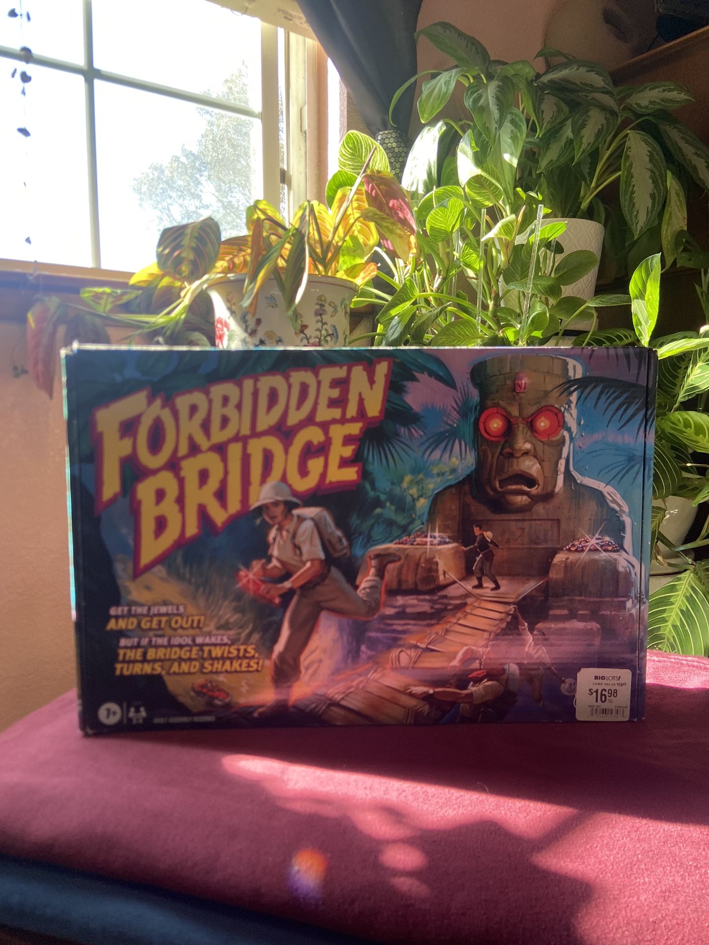 Forbidden Bridge