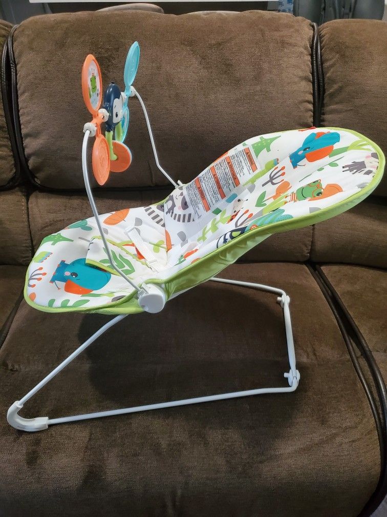 Fisher-Price Baby Bouncer