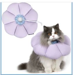 Cat and dog cone