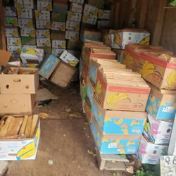 Firewood Bundles In A Banana Box. Each Box Double A Store Bundle. Clean And Ready To Burn 🔥 