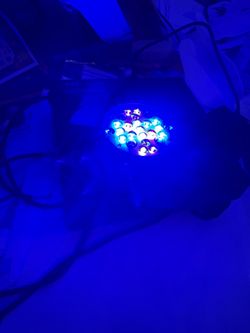 EcoTech Radion XR15 Pro Reef LED Light – Mobius Ready
