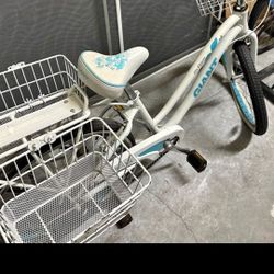 24" Trike Bike In Excellent Condition 