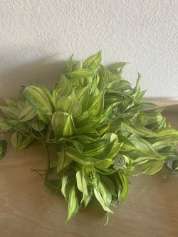 Hobby Lobby  Craft Foliage