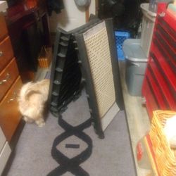 Dog Ramp 