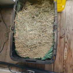 Orchard Hay- Bin Not Included