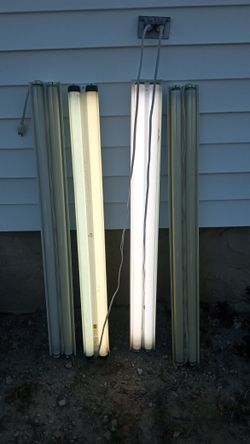 Shop Lights