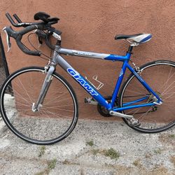 Bike Brand Giant