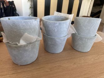 Set of 6 Gray Concrete Plant Pots floral