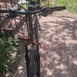 TREK Marin Mountain Bike