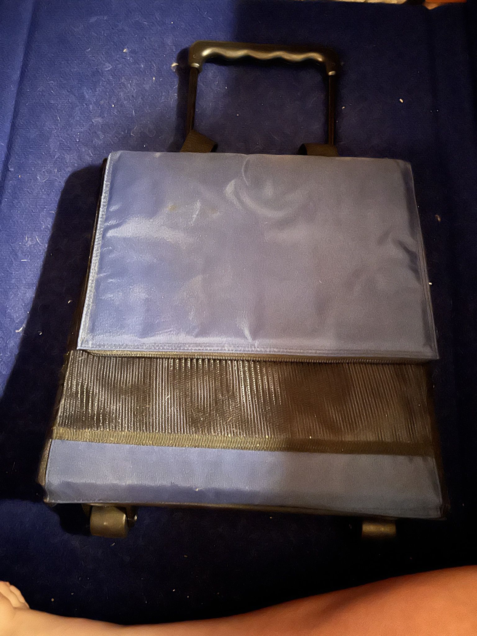 Insulated cooler on wheels